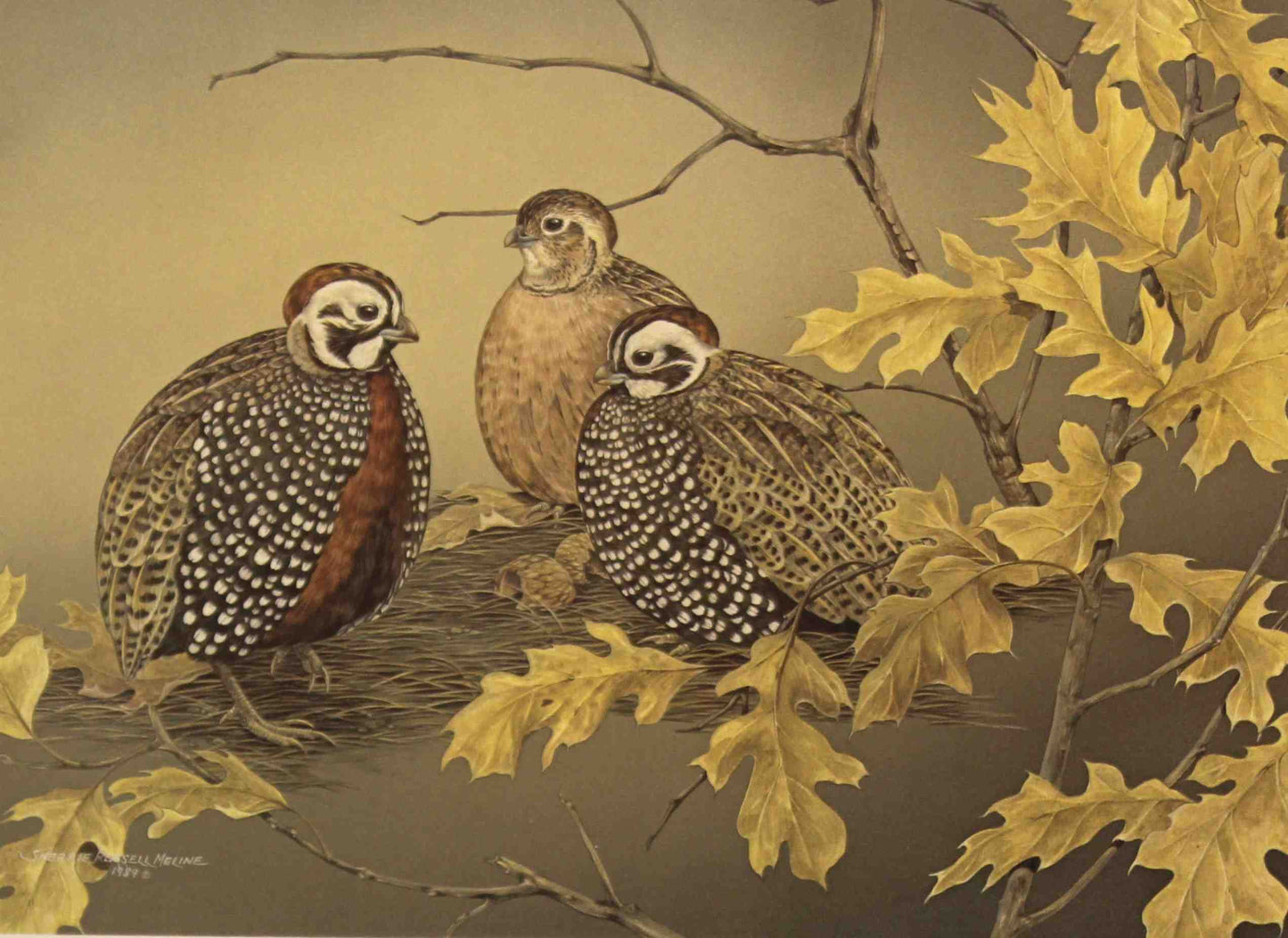 Sherrie Russell Meline’s 1987 Texas Non-Game Stamp print featuring a pair of Mearns quail nestled among grasses and wildflowers, with detailed plumage and soft natural tones.