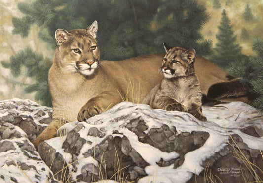 Limited edition wildlife print “Family Ties” by Charles Fracé showing a mother cougar resting closely with her young cub.