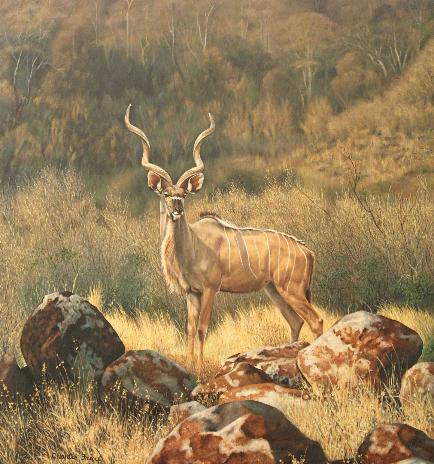 Charles Fracé print of a greater kudu with spiral horns standing in the African brush.