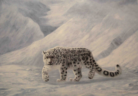 Limited edition wildlife print “Gray Ghost” by Charles Fracé featuring a snow leopard moving gracefully across a rocky, snowy landscape.