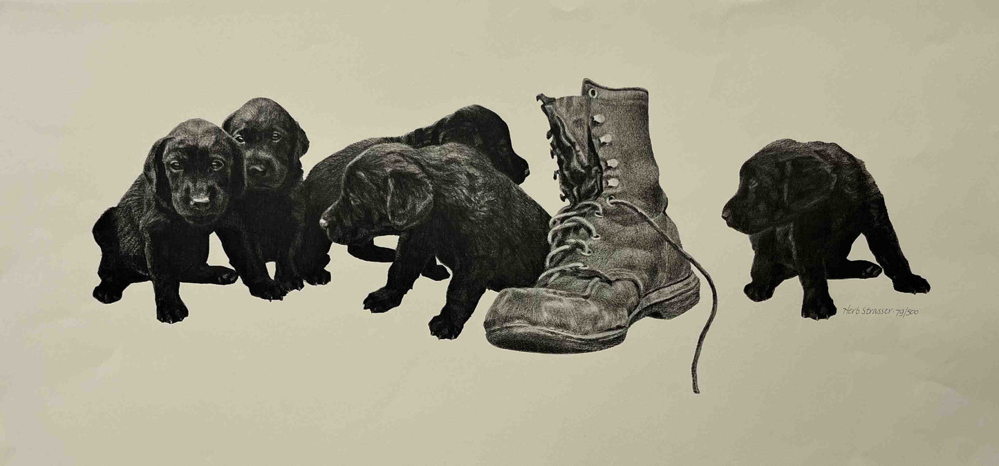 Herb Strasser's print of Labrador puppies and old boot.