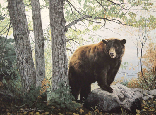 Limited edition wildlife print “Morning Watch” by Charles Fracé featuring a bear standing alert in a misty morning landscape.