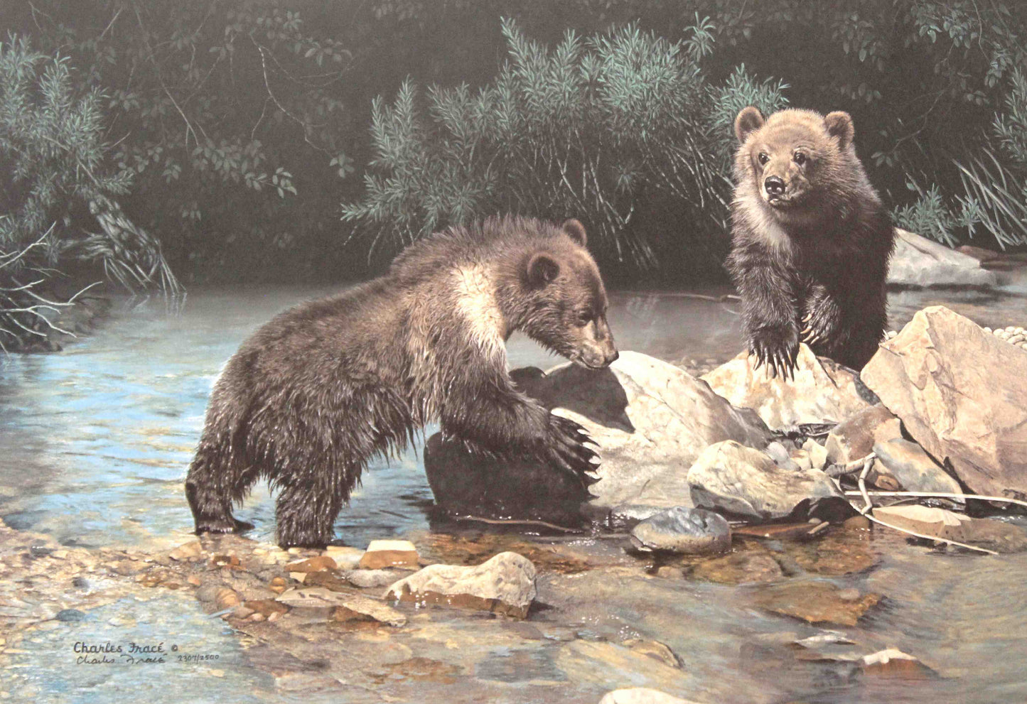 Limited edition wildlife print “Playmates” by Charles Fracé featuring two brown bear cubs playfully wrestling in a natural setting.
