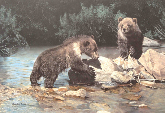 Limited edition wildlife print “Playmates” by Charles Fracé featuring two brown bear cubs playfully wrestling in a natural setting.