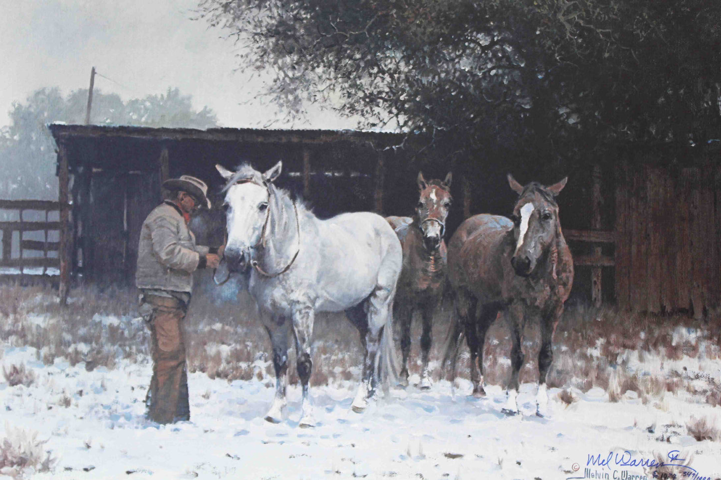 Cowboy saddling a blue roan horse in Melvin Warren’s Western-themed art print Saddlin’ the Blue Roan.