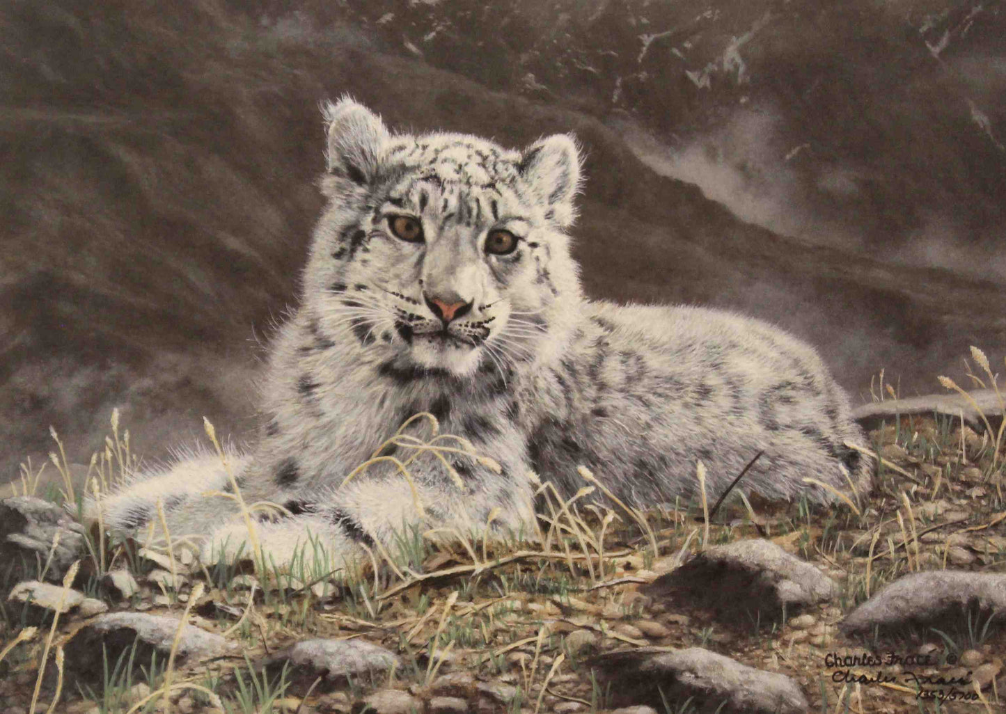 Snow leopard resting on rocky ledge in Spiritual Heir by Charles Fracé