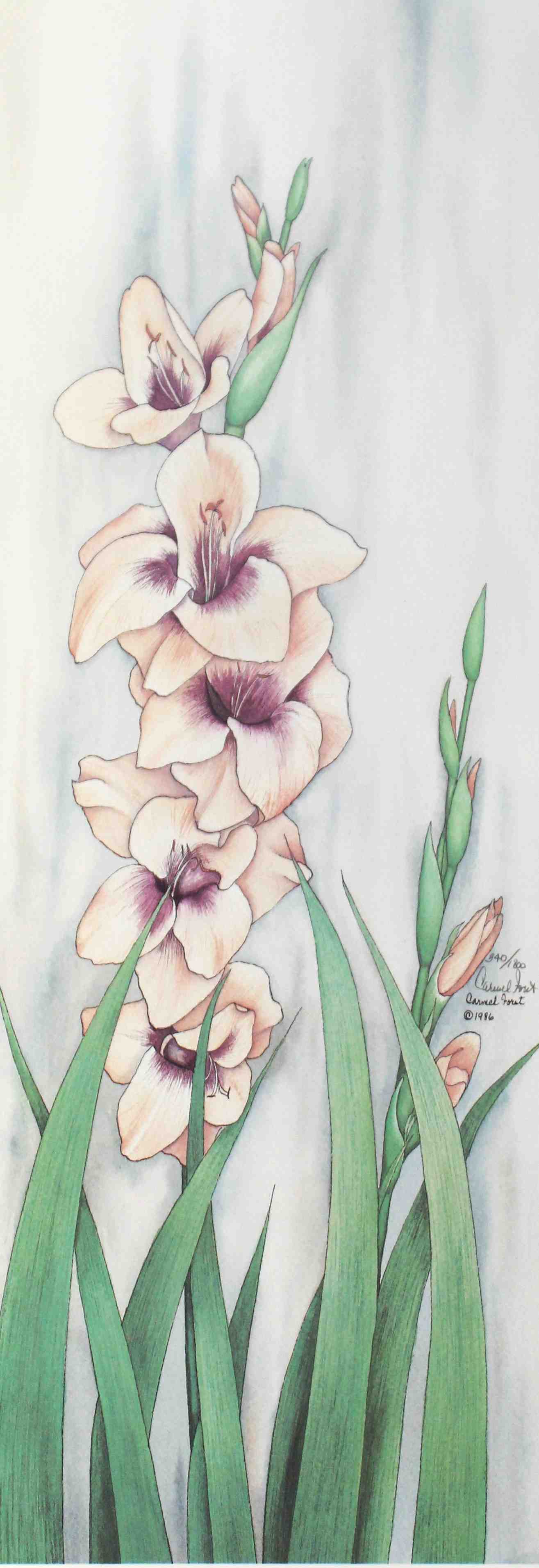 Carmel Foret Spring Bloom V floral art print – elegant flower prints for wall décor