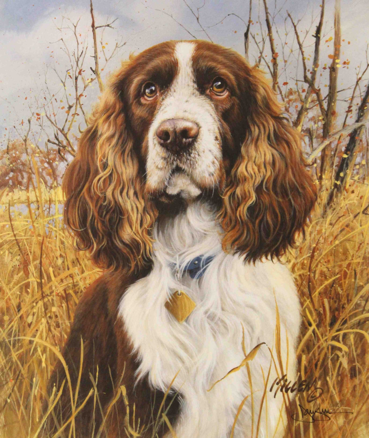 Fine art print by Jim Killen featuring a Springer Spaniel sporting dog; artwork titled "That's My Dog — Springer Spaniel."