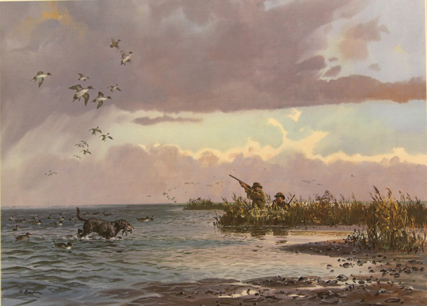 John Cowan print "Sunken Blind" showing a hunter hidden in a marshland blind surrounded by reeds and calm, reflective water.