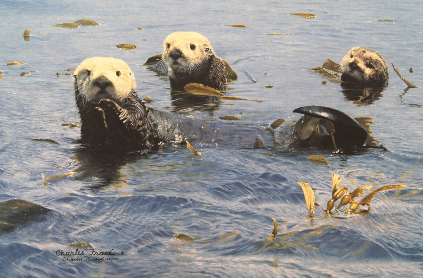 Limited edition print "Treasures of the Sea" by Charles Fracé featuring two sea otters floating together on the water.