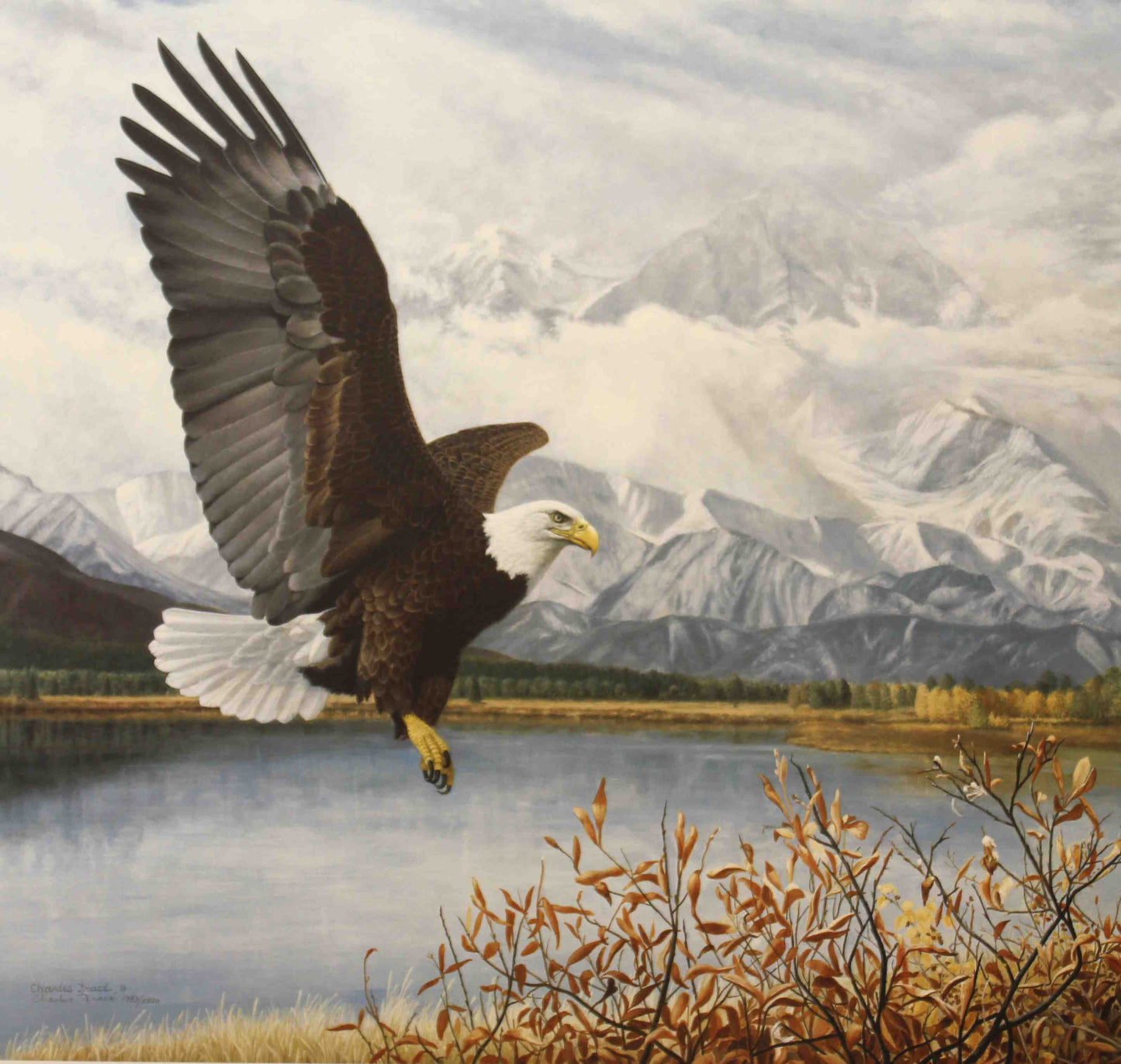 Charles Fracé print of a bald eagle soaring with wings fully extended against a stunning mountain backdrop.