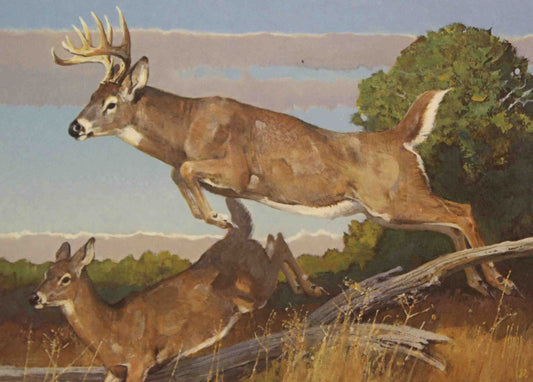 Bob Kuhn 1982 Boone and Crockett Stamp Print depicting a whitetail deer leaping through a wooded landscape with dynamic motion and detail.