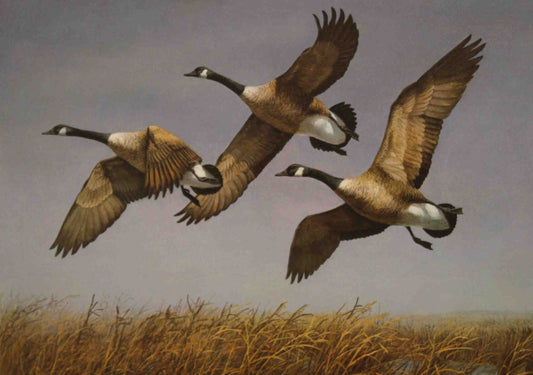 Richard Plasschaert 1982 North Dakota Duck Stamp Print showing Canadian geese flying over a prairie wetland landscape.