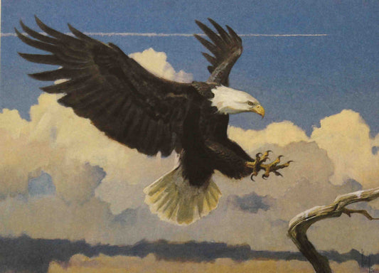 Bob Kuhn’s 1987 Texas Non-Game Stamp print of a bald eagle perched on a high tree branch, with realistic feather detail and a vast Texas sky in the background.