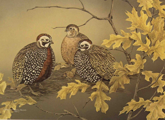 Sherrie Russell Meline’s 1987 Texas Non-Game Stamp print featuring a pair of Mearns quail nestled among grasses and wildflowers, with detailed plumage and soft natural tones.