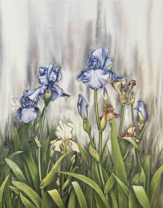 Bearded Iris Garden by Carmel Foret – Floral Art Print for Wall