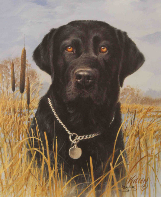 Fine art print by Jim Killen featuring a Black Labrador retriever sitting beside hunting boots; sporting dog artwork titled "That's My Dog — Black Lab."