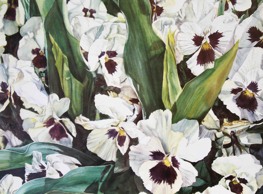 E. Hawn Bloomin’ Pansies floral art print – vibrant flower prints for wall décor