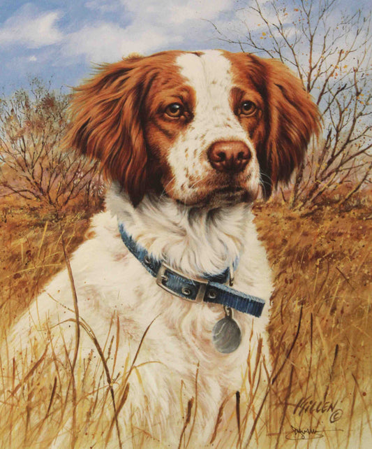 Fine art print by Jim Killen featuring a Brittany Spaniel sporting dog standing beside hunting boots; artwork titled "That's My Dog — Brittany Spaniel."