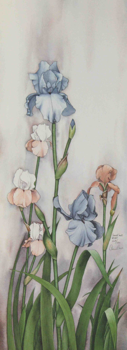 Carmel Foret floral print Classical Garden I – signed Carmel Foret art print featuring elegant garden flowers.