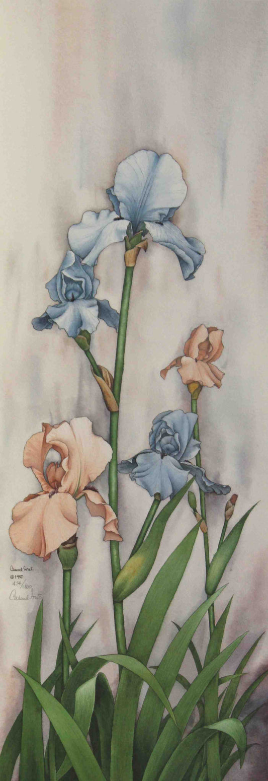 Carmel Foret Print Classical Garden II – Signed Floral Art Print
