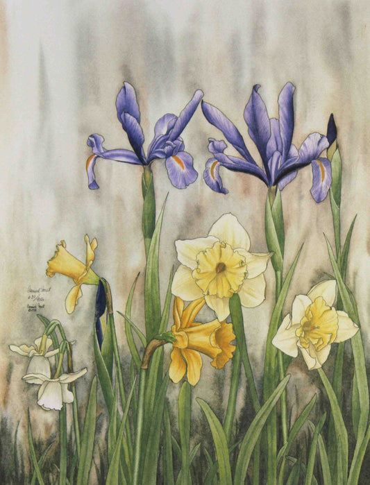 Carmel Foret floral print Dutch Iris With Daffodil – signed Carmel Foret art print featuring Dutch iris and daffodil flowers.