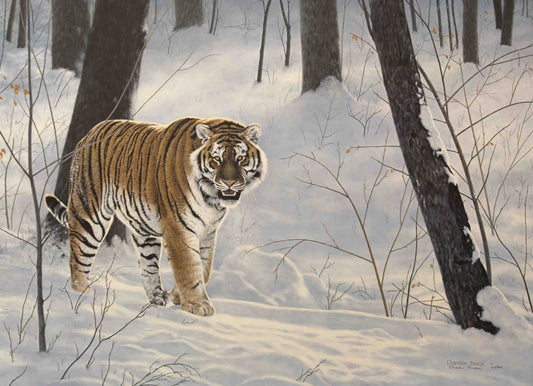 Emperor of Siberia wildlife art print by Charles Fracé – limited edition signed Siberian tiger artwork.