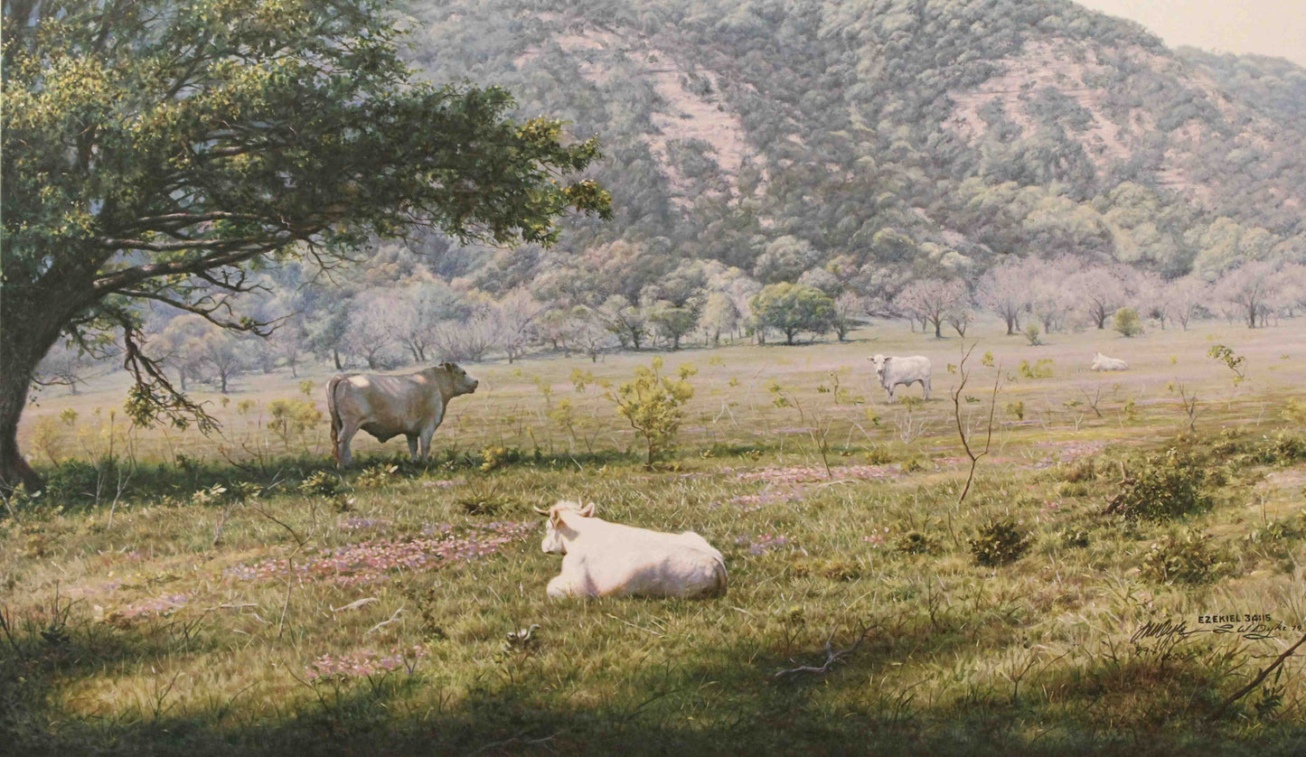 Larry Dyke print "Ezekiel 34:15" showing cattle resting in a peaceful, sunlit pasture surrounded by gentle hills and trees, inspired by the biblical promise of care and rest.