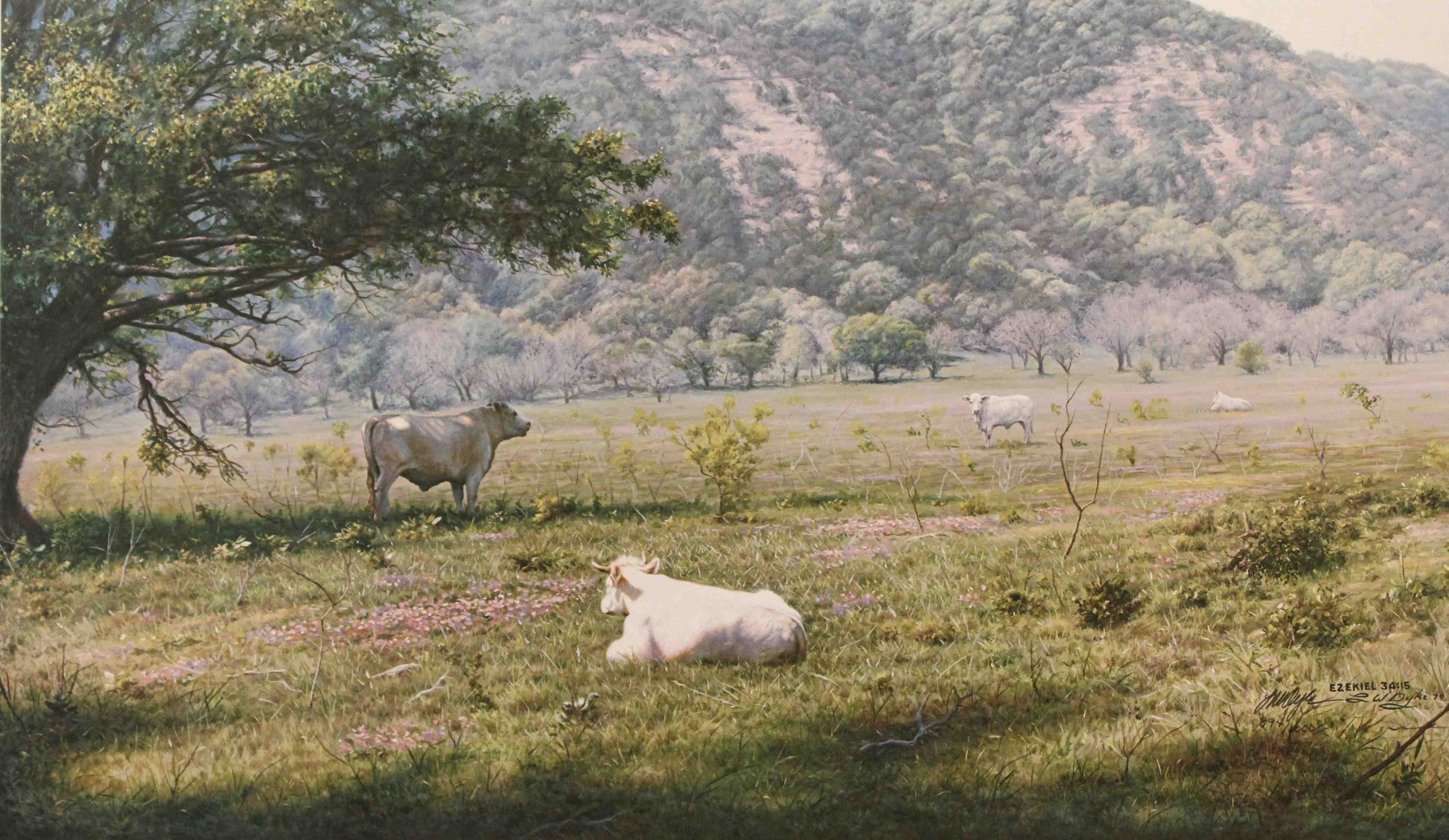 Larry Dyke print "Ezekiel 34:15" showing cattle resting in a peaceful, sunlit pasture surrounded by gentle hills and trees, inspired by the biblical promise of care and rest.