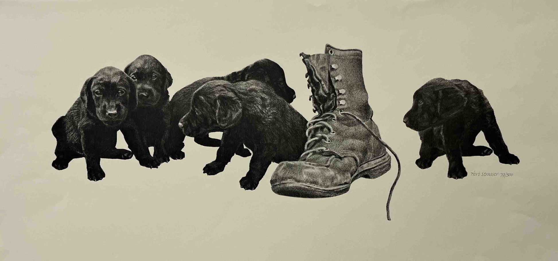 Herb Strasser's print of Labrador puppies and old boot.