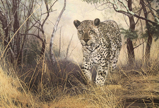 Lone Hunter by Charles Fracé – African leopard stalking silently through the grass