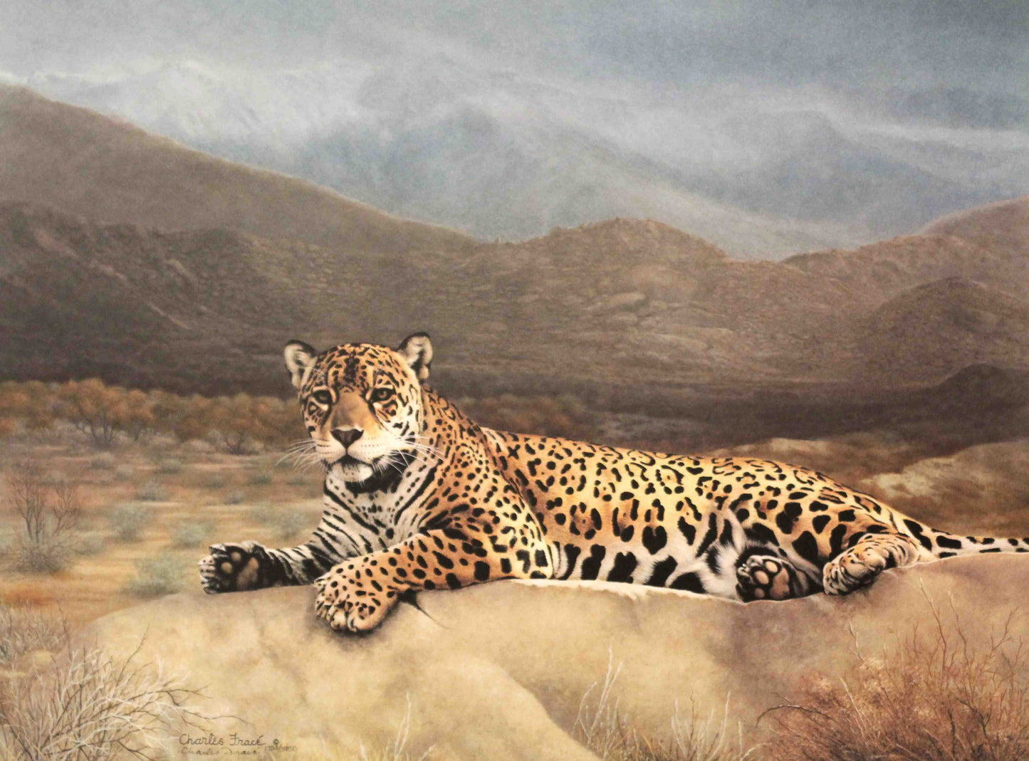 Pantera Orca jaguar art print by Charles Fracé – signed and numbered limited edition wildlife artwork