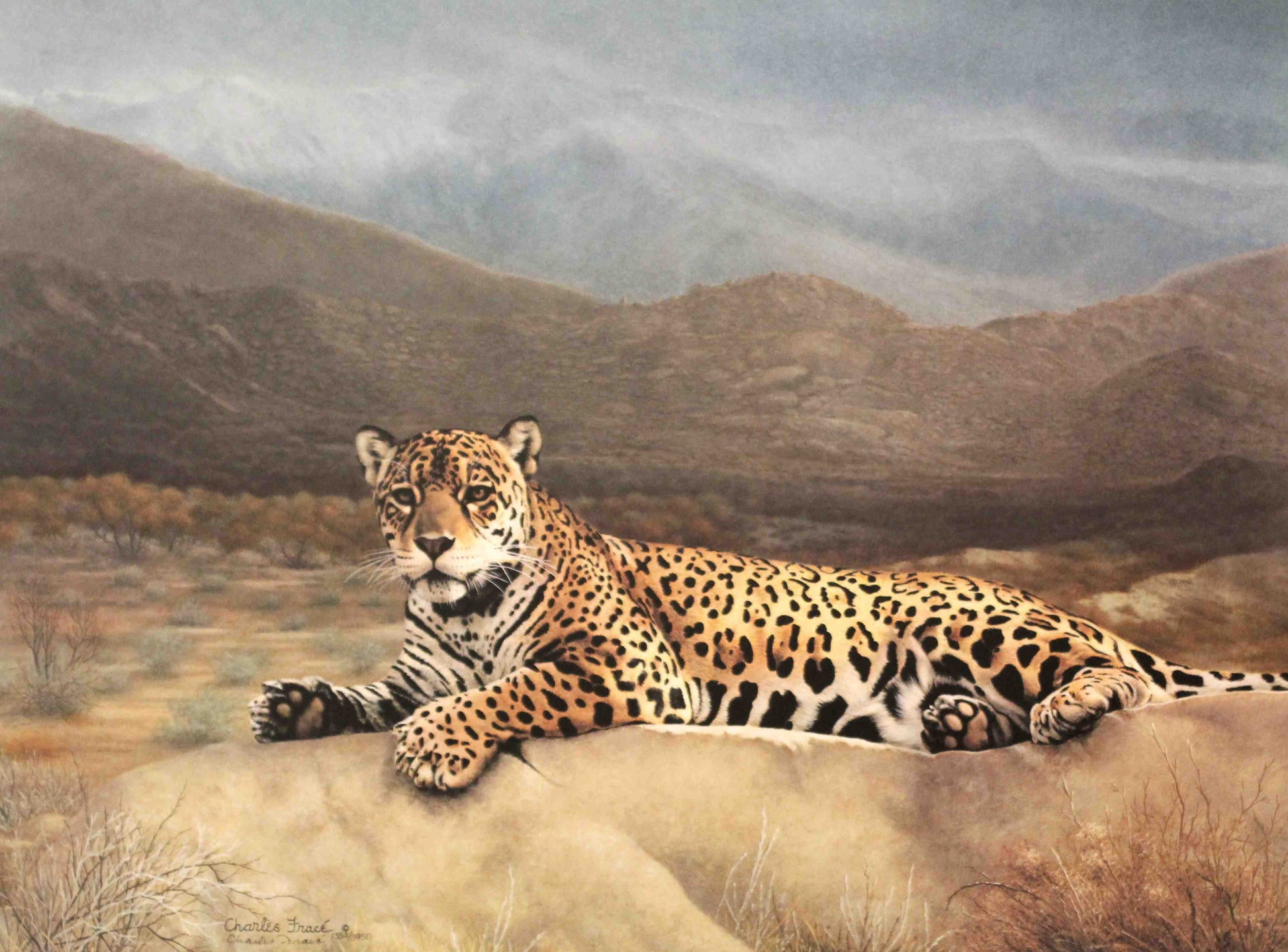 Pantera Orca jaguar art print by Charles Fracé – signed and numbered limited edition wildlife artwork