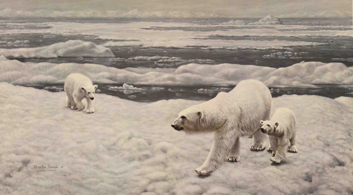 Polar bear mother with cubs in snowy landscape in Polar Bear by Charles Fracé