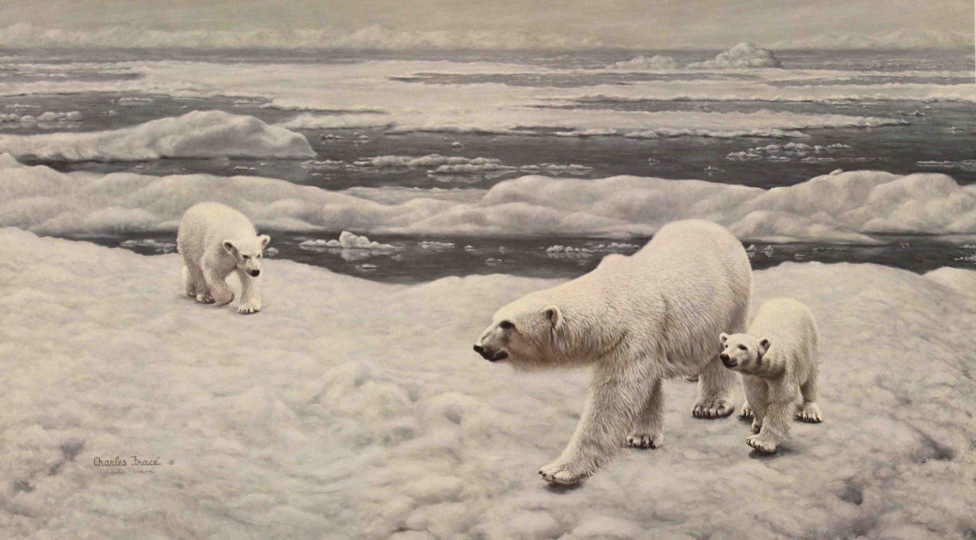 Polar bear mother with cubs in snowy landscape in Polar Bear by Charles Fracé