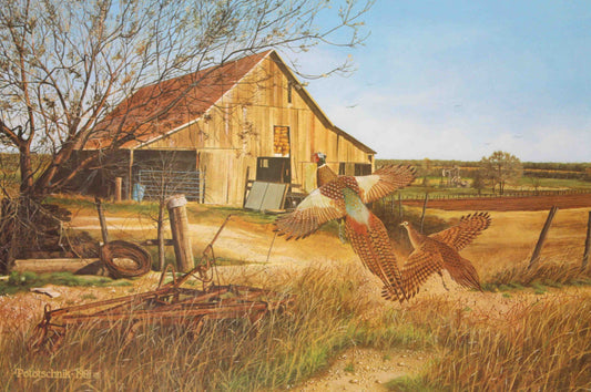 John Pototschnik print “Provisions for Tomorrow” showing pheasants taking flight in front of a barn with a distant pumpjack on the horizon.
