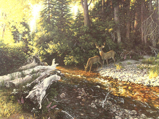 Larry Dyke print "Psalm 42:01" featuring deer grazing beside a gently flowing stream in a peaceful, sunlit forest, inspired by the scripture's message of spiritual longing.