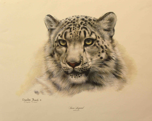 Charles Frace print of the head of a sbnow leopard.