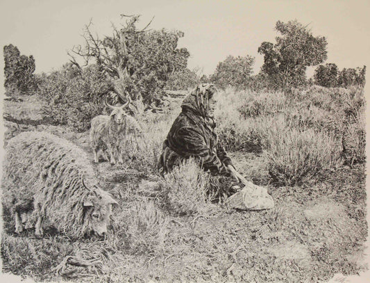 Paul Calle art print “The Lonely Watch” showing a Native American woman standing guard over her flock of sheep in a wide, tranquil landscape.