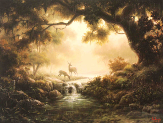 Dalhart Windberg print “Woodland Reflections” depicting a quiet forest scene with calm water reflecting trees and soft natural light.