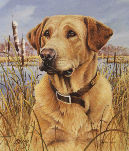 Fine art print by Jim Killen featuring a Yellow Labrador retriever sitting beside hunting boots; sporting dog artwork titled "That's My Dog — Yellow Lab."